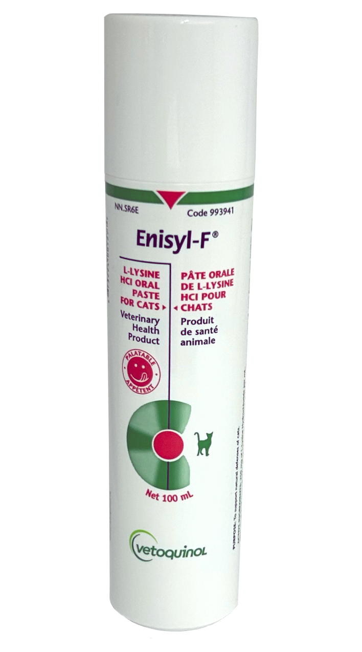 Enisyl f shop for cats